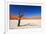 Dead Acacia Tree in Sossusvlei Pan, Namibia-Checco-Framed Photographic Print