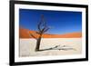 Dead Acacia Tree in Sossusvlei Pan, Namibia-Checco-Framed Photographic Print