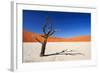 Dead Acacia Tree in Sossusvlei Pan, Namibia-Checco-Framed Photographic Print