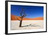 Dead Acacia Tree in Sossusvlei Pan, Namibia-Checco-Framed Photographic Print