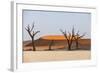 Dead Acacia Trees Silhouetted Against Sand Dunes at Deadvlei, Namib-Naukluft Park, Namibia, Africa-Alex Treadway-Framed Photographic Print