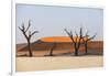 Dead Acacia Trees Silhouetted Against Sand Dunes at Deadvlei, Namib-Naukluft Park, Namibia, Africa-Alex Treadway-Framed Photographic Print