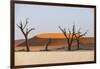 Dead Acacia Trees Silhouetted Against Sand Dunes at Deadvlei, Namib-Naukluft Park, Namibia, Africa-Alex Treadway-Framed Photographic Print