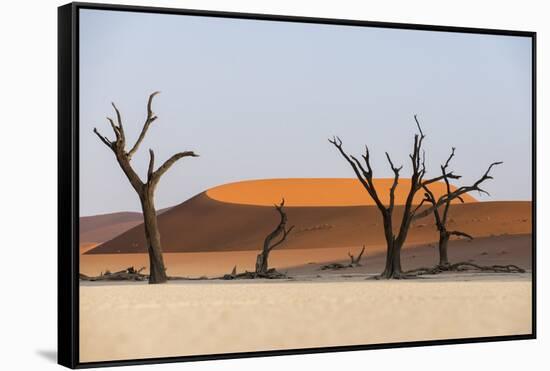 Dead Acacia Trees Silhouetted Against Sand Dunes at Deadvlei, Namib-Naukluft Park, Namibia, Africa-Alex Treadway-Framed Stretched Canvas