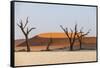 Dead Acacia Trees Silhouetted Against Sand Dunes at Deadvlei, Namib-Naukluft Park, Namibia, Africa-Alex Treadway-Framed Stretched Canvas