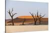 Dead Acacia Trees Silhouetted Against Sand Dunes at Deadvlei, Namib-Naukluft Park, Namibia, Africa-Alex Treadway-Stretched Canvas