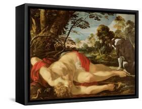 Dead Adonis, C.1624-28-Laurent de La Hyre-Framed Stretched Canvas