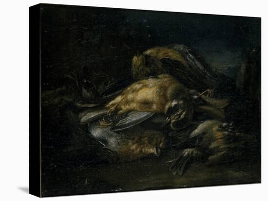 Dead Bird, 1664-Giovanni Benedetto Castiglione-Stretched Canvas