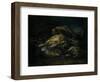 Dead Bird, 1664-Giovanni Benedetto Castiglione-Framed Giclee Print