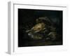 Dead Bird, 1664-Giovanni Benedetto Castiglione-Framed Giclee Print