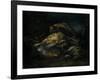 Dead Bird, 1664-Giovanni Benedetto Castiglione-Framed Giclee Print