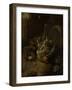 Dead Birds-Melchior d'Hondecoeter-Framed Art Print