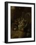 Dead Birds-Melchior d'Hondecoeter-Framed Art Print