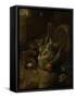 Dead Birds-Melchior d'Hondecoeter-Framed Stretched Canvas