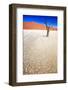 Dead Black Trees in the Desert Landscape. Surreal Scenic in Amazing Unreal Landscape. Sossusvlei, D-Kim Visser-Framed Photographic Print