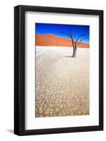 Dead Black Trees in the Desert Landscape. Surreal Scenic in Amazing Unreal Landscape. Sossusvlei, D-Kim Visser-Framed Photographic Print