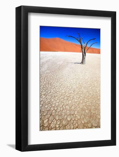 Dead Black Trees in the Desert Landscape. Surreal Scenic in Amazing Unreal Landscape. Sossusvlei, D-Kim Visser-Framed Photographic Print