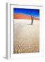 Dead Black Trees in the Desert Landscape. Surreal Scenic in Amazing Unreal Landscape. Sossusvlei, D-Kim Visser-Framed Photographic Print