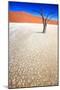 Dead Black Trees in the Desert Landscape. Surreal Scenic in Amazing Unreal Landscape. Sossusvlei, D-Kim Visser-Mounted Photographic Print