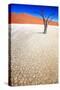 Dead Black Trees in the Desert Landscape. Surreal Scenic in Amazing Unreal Landscape. Sossusvlei, D-Kim Visser-Stretched Canvas