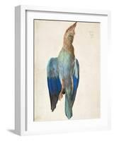 Dead Blue Roller, 1500 (Or 151)-Albrecht Dürer-Framed Giclee Print