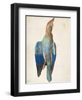 Dead Blue Roller, 1500 (Or 151)-Albrecht Dürer-Framed Premium Giclee Print