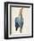 Dead Blue Roller, 1500 (Or 151)-Albrecht Dürer-Framed Premium Giclee Print