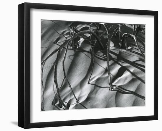 Dead Branches, Detail, White Sands, New Mexico, c. 1940-Brett Weston-Framed Premium Photographic Print