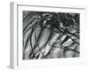 Dead Branches, Detail, White Sands, New Mexico, c. 1940-Brett Weston-Framed Premium Photographic Print