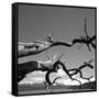 Dead Branches with Lake and Mountains-null-Framed Stretched Canvas