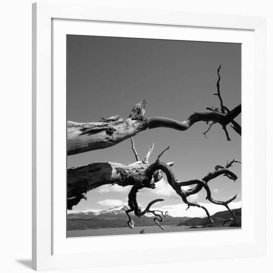 Dead Branches with Lake and Mountains-null-Framed Photographic Print