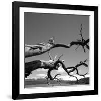 Dead Branches with Lake and Mountains-null-Framed Photographic Print