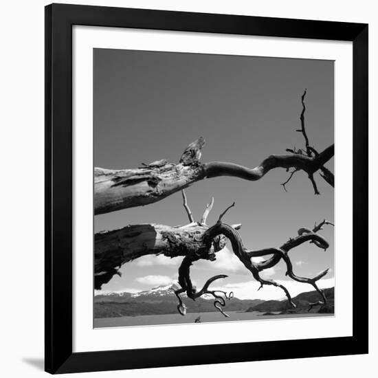 Dead Branches with Lake and Mountains-null-Framed Photographic Print