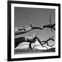 Dead Branches with Lake and Mountains-null-Framed Photographic Print