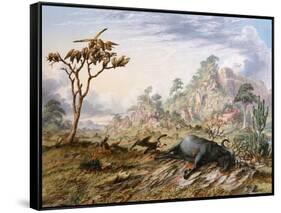 Dead Buffalo-Thomas Baines-Framed Stretched Canvas