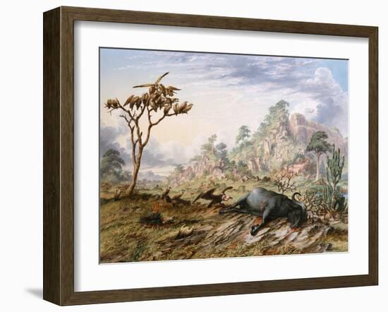 Dead Buffalo-Thomas Baines-Framed Art Print