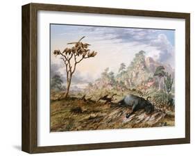 Dead Buffalo-Thomas Baines-Framed Art Print