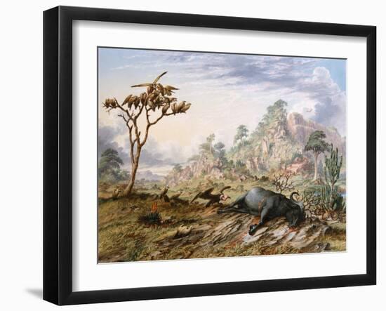 Dead Buffalo-Thomas Baines-Framed Art Print