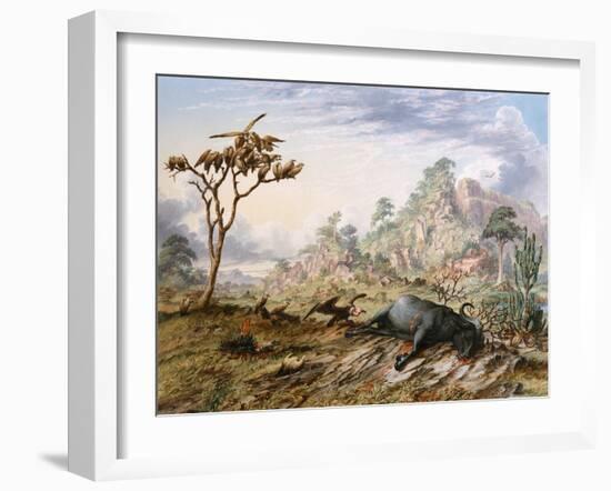 Dead Buffalo-Thomas Baines-Framed Art Print