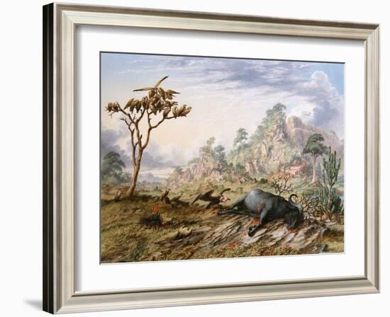 Dead Buffalo-Thomas Baines-Framed Art Print