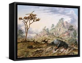 Dead Buffalo-Thomas Baines-Framed Stretched Canvas