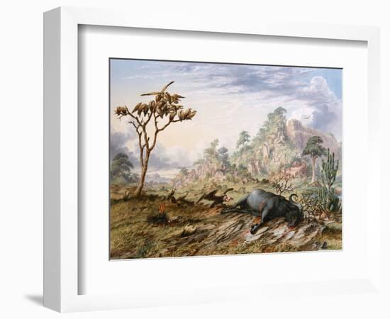 Dead Buffalo-Thomas Baines-Framed Art Print