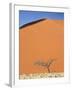 Dead Camel Thorn Tree Against the Orange Sand of Elim Dune-Lee Frost-Framed Photographic Print