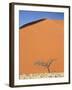 Dead Camel Thorn Tree Against the Orange Sand of Elim Dune-Lee Frost-Framed Photographic Print