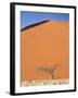 Dead Camel Thorn Tree Against the Orange Sand of Elim Dune-Lee Frost-Framed Photographic Print