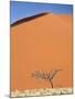 Dead Camel Thorn Tree Against the Orange Sand of Elim Dune-Lee Frost-Mounted Photographic Print