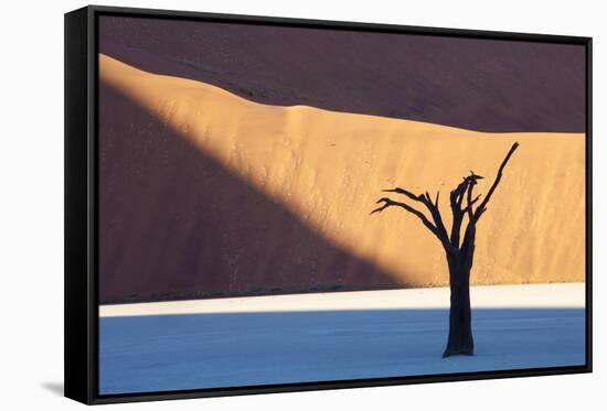 Dead Camelthorn Tree Said to Be Centuries Old-Lee Frost-Framed Stretched Canvas