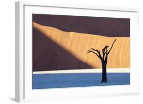 Dead Camelthorn Tree Said to Be Centuries Old-Lee Frost-Framed Photographic Print