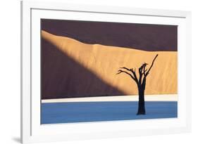 Dead Camelthorn Tree Said to Be Centuries Old-Lee Frost-Framed Photographic Print