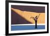 Dead Camelthorn Tree Said to Be Centuries Old-Lee Frost-Framed Photographic Print